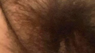 The Hairy Pussy of a Mature MILF
