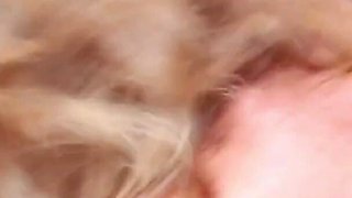 Lana Lee Gets Double Teamed by Two Bbcs in Epic Gonzo Scene