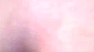 Asian Angel 25870