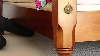Cute white teen rides a monster black cock