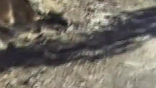 Pussy Spreading Closeup Before Hard Fucking