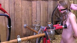 HuCows Lina Roselina Mini Hucow Maximum Power