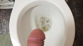 Pissing in the Toilet Compilation