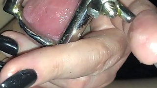 Watch How My Little Piggy Is Allowed to Watch