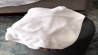Beautiful Hot Blonde Enjoys Blowjobs And Hardcore Assfucking