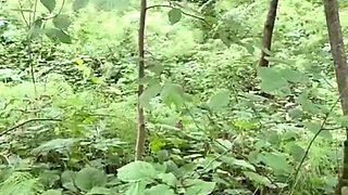 MILF Gave Her Big Ass in the Woods, Hot Sex