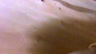 Korean Amateur Sucks Cock in Bathroom Gloryhole