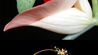 My Wife Rides and Floods the Entire Sofa with Her Lust, the Golden Shower Is Washing the Balls of Her Favorite Big Dick Boy.