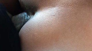 A Horny Day