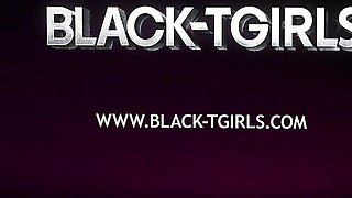 Black TGirls - blowjob porn
