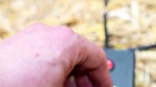 HuCows Kiki Fucking Machine FETiSH