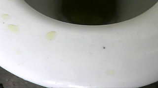 Toilet Slave