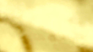 I Fuck My Wife on a Leash