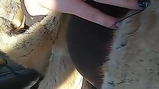 2-hour Outdoor Risky Blowjob & Fuck Compilation - Wild, & Uncut Pleasure