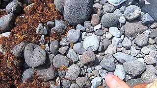 Short-haired tattooed girlfriend gives outdoor beach blowjob