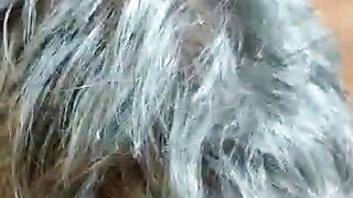 Fantastic 84yo stallion barebacks and creampies Nypster