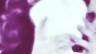Vintage porn retro erotic theatre - affair at the bar