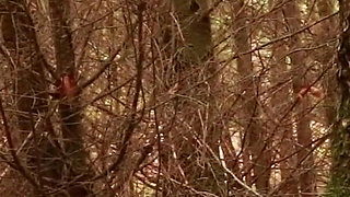 British 18-year-old in uniform uses she wee to piss outside