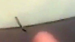 Tent Fuck at Rock Am Ring Festival