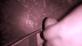 Desi wife handjob in boy friend cock