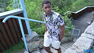 Blonde Czech Ariela Donovan drilled deep in doggy with humongous black cock GP1500