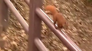 Maria Mia And Markus Waxenegger In Claire In A Picture And Fuck Session Outdoor