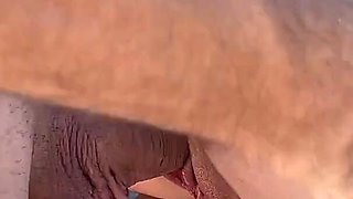 Three Guys Fucked a Cute Stranger in the Park and Cum in Her Pussy