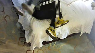 Amateur Hidden Cam with Dildo Wives