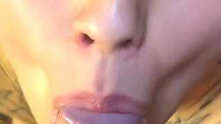 8.12. POV Blowjob