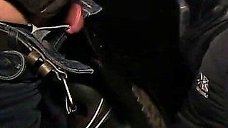 Curvy MILF Wife Cum Slut Diamons Blue Loves to Go Dogging