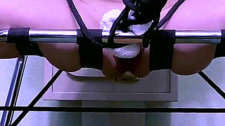 House Keeping Featuring Stephie Starr