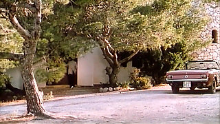 Hot Sex in Ibiza (1982)