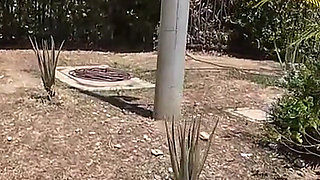 Breaking Her in Ebony Newbie Outdoor Model Audition Nice Ass Tits Pierced Slim Thick Girl Got the Hoe Path Walking - Jhodez1