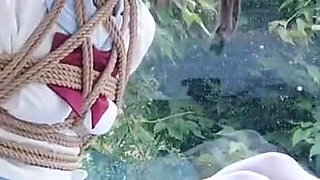 The Scenery Inside the Window Is so Wonderful