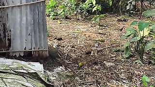 Silent beauty of my garden