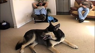 Extreme pissing and blowjob group sex