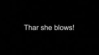 Amateur pov hardcore blowjob rimjob sex cumshot facial