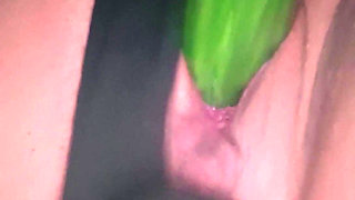 Cucumber Planting Lesson