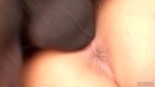 Big Titty Brunette Ebony Plays With Huge Black Cock - Lingerie, Titjob