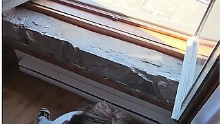 Horny Teacher Sucks The Cock Of Her Students Dad During A School Field Trip