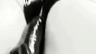 Dd0302