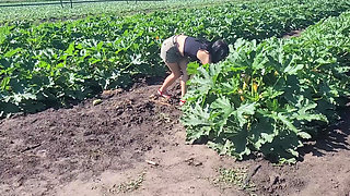 A Slender Brunette Saw a Field in Which Large Zucchini Grow, She Was Not at a Loss and Plucked a Few Pieces