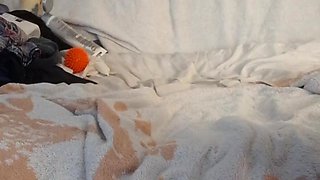 Im Discovering My Transsexual Side And Would Love To Have A Hot Lover