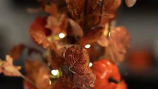 Isabella Jules, Lulu Chu - Thanksgiving Cum For My Stepsis