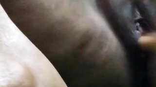 Let's see how you all have sex with a bottle