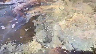 Swimming Naked in Cyprus