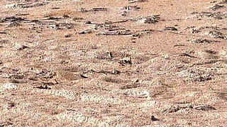 Day at the Beach with 67 Goddess