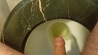 Piss sitting on my toilet.