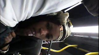 Brain's Blowjob on the Bus