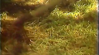Kascha Special 1 Vhsrip60fps - 60 fps